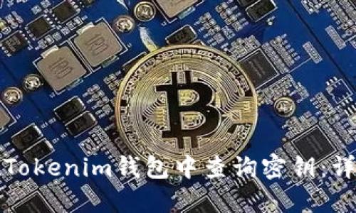 如何在Tokenim钱包中查询密钥：详细指南