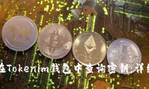 如何在Tokenim钱包中查询密钥：详细指南