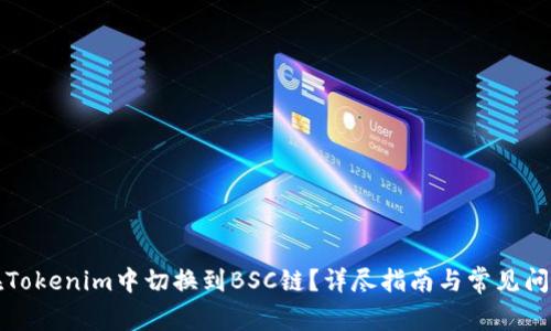 如何在Tokenim中切换到BSC链？详尽指南与常见问题解答