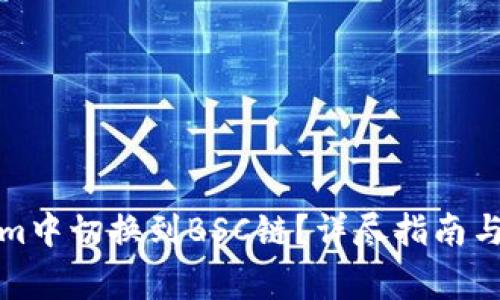 如何在Tokenim中切换到BSC链？详尽指南与常见问题解答