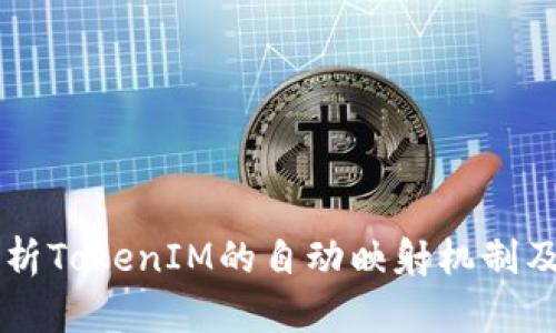 深入解析TokenIM的自动映射机制及其应用