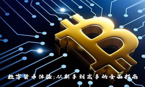 数字货币体验：从新手到高手的全面指南