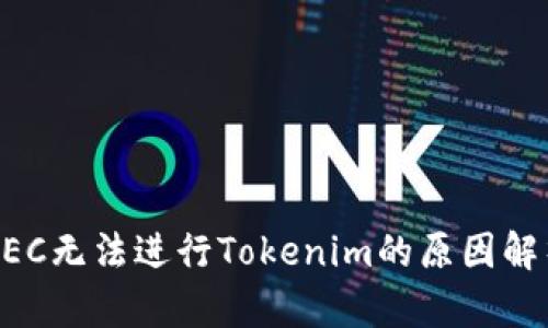 ZEC无法进行Tokenim的原因解析