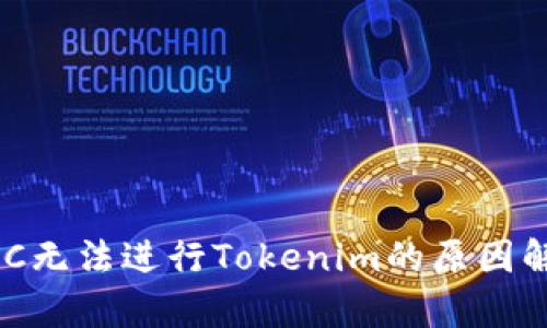 ZEC无法进行Tokenim的原因解析