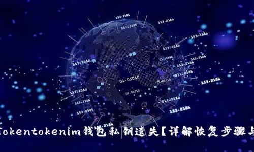 如何应对Tokentokenim钱包私钥遗失？详解恢复步骤与预防措施