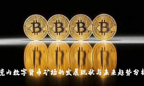 境内数字货币矿场的发展现状与未来趋势分析