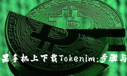 如何在苹果手机上下载Tokenim：步骤与使用指南