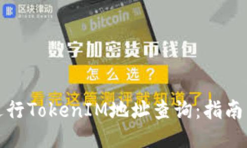 如何进行TokenIM地址查询：指南与技巧