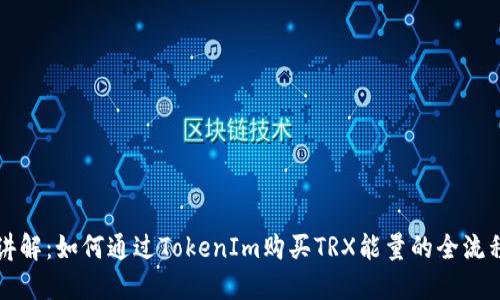 详细讲解：如何通过TokenIm购买TRX能量的全流程教程