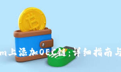 如何在Tokenim上添加OEC链：详细指南与常见问题解答