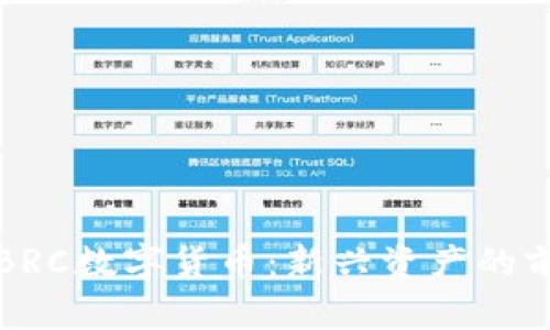 深入探讨BRC数字货币：新兴资产的前景与挑战