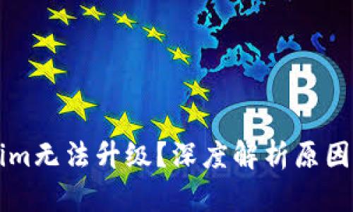 为何Tokenim无法升级？深度解析原因与解决方案