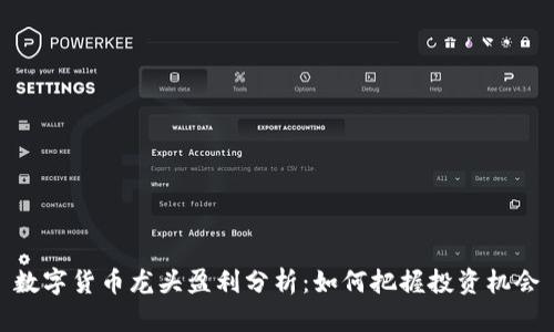 数字货币龙头盈利分析：如何把握投资机会