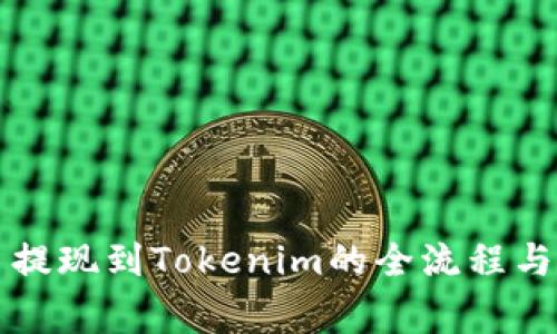 详解云币提现到Tokenim的全流程与注意事项
