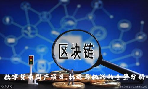 数字货币国产项目：机遇与挑战的全景分析