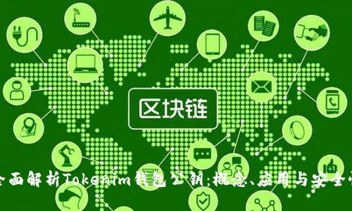 全面解析Tokenim钱包公钥：概念、应用与安全性