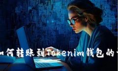 TP钱包如何转账到Tokenim钱包的详细指南