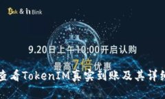 如何查看TokenIM真实到账及其详细指南
