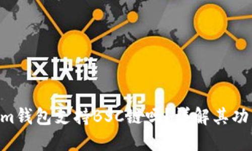 Tokentokenim钱包支持BSC链吗？详解其功能与使用指南