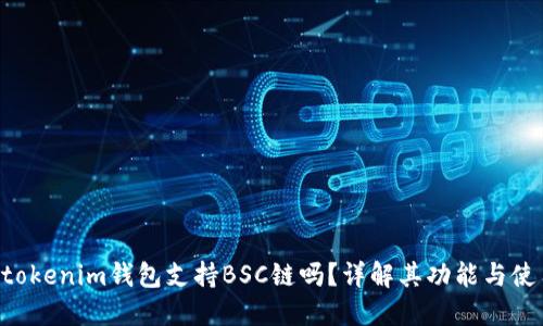 Tokentokenim钱包支持BSC链吗？详解其功能与使用指南