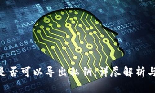 Tokenim是否可以导出私钥：详尽解析与使用指南
