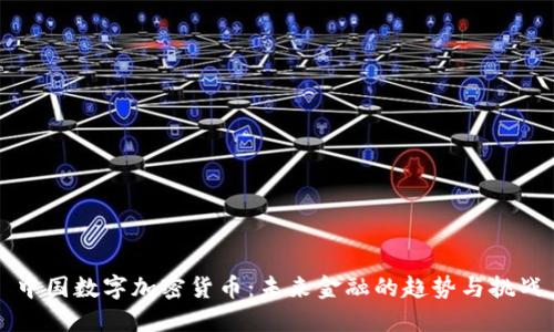 中国数字加密货币：未来金融的趋势与挑战