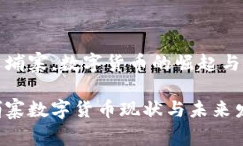 在柬埔寨，数字货币的崛起与挑战

柬埔寨数字货币现状与未来发展