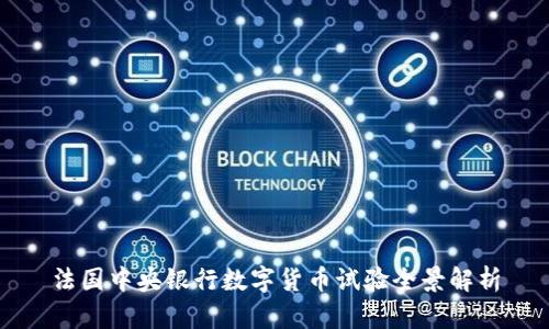 法国中央银行数字货币试验全景解析