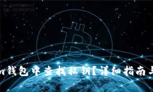 如何在Tokenim钱包中查找私钥？详细指南与常见问题解答
