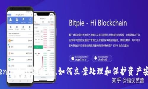 tokenim冷钱包被盗，如何立案处理和保护资产安全？