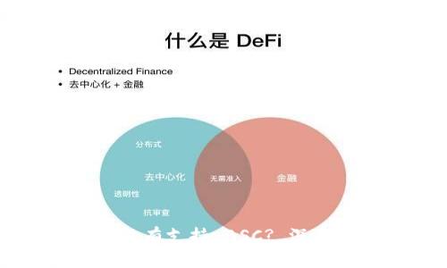 为何 Tokenim 没有支持 BSC? 深度解析与未来展望