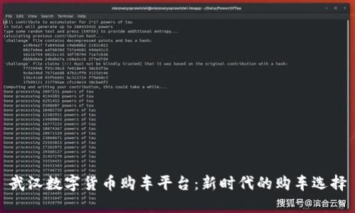 武汉数字货币购车平台：新时代的购车选择