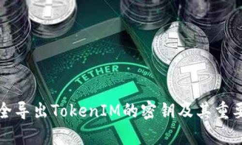 如何安全导出TokenIM的密钥及其重要性分析