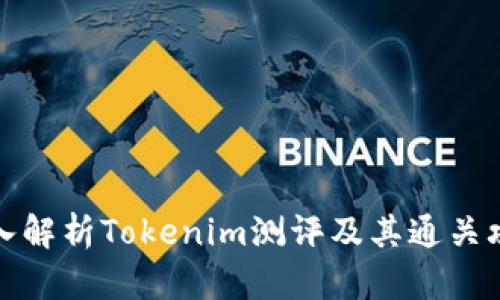 深入解析Tokenim测评及其通关攻略
