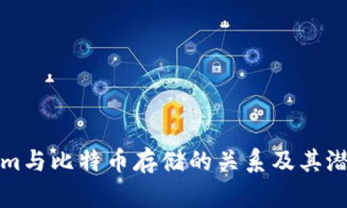解析Tokenim与比特币存储的关系及其潜在解决方案