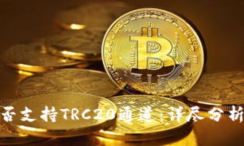TokenIM是否支持TRC20通道：详尽分析与使用指南