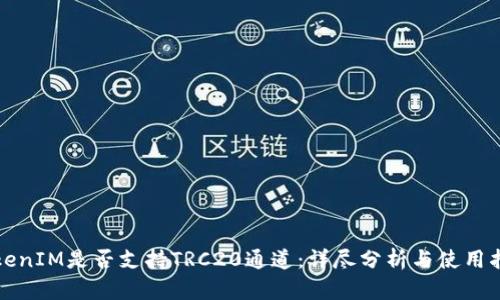 TokenIM是否支持TRC20通道：详尽分析与使用指南