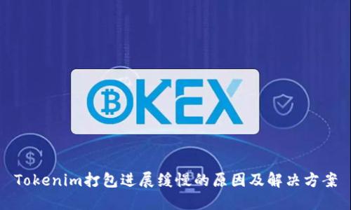 Tokenim打包进展缓慢的原因及解决方案
