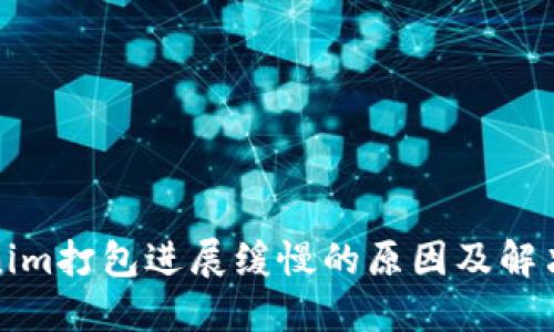 Tokenim打包进展缓慢的原因及解决方案