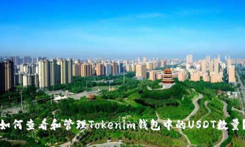 如何查看和管理Tokenim钱包中的USDT数量？