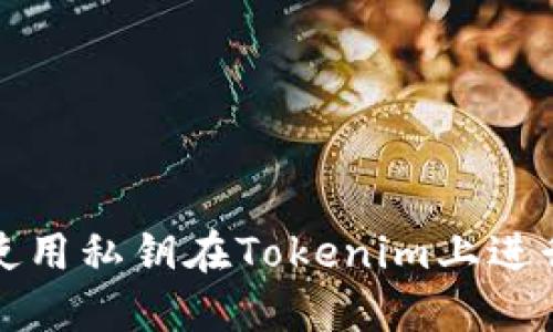 如何使用私钥在Tokenim上进行操作