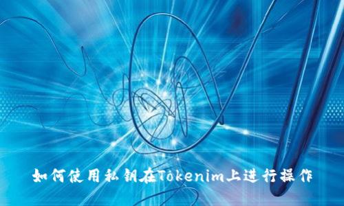 如何使用私钥在Tokenim上进行操作