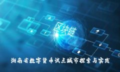 湖南省数字货币试点城市探索与实践