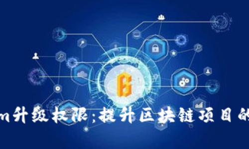 全面解析Tokenim升级权限：提升区块链项目的安全性与灵活性