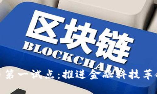 数字货币第一试点：推进金融科技革命的先锋