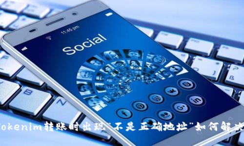 Tokenim转账时出现“不是正确地址”如何解决？