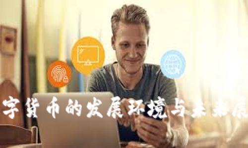 数字货币的发展环境与未来展望