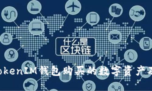 使用TokenTokenIM钱包购买的数字资产及其使用指南