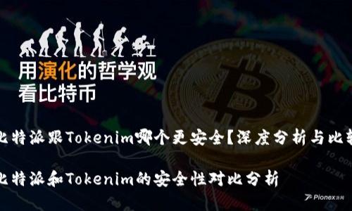 比特派跟Tokenim哪个更安全？深度分析与比较

比特派和Tokenim的安全性对比分析