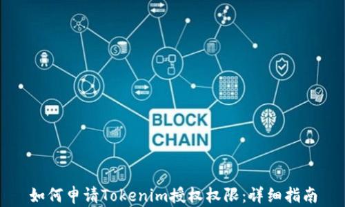 
如何申请Tokenim授权权限：详细指南